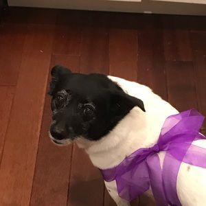 Meet your Posher, Caroline